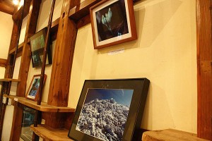 屋久島の水の物語