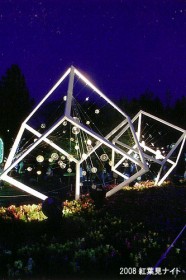 2008紅葉見ナイト 2008紅葉見ナイト