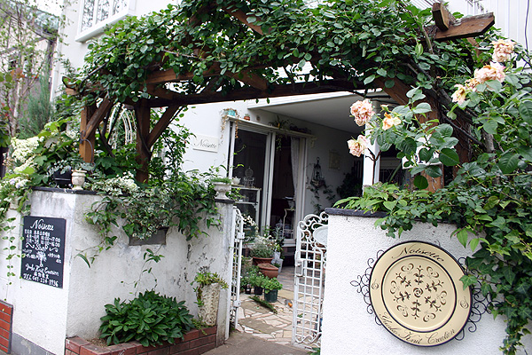 Noisette(ノアゼット) Noisette(ノアゼット)