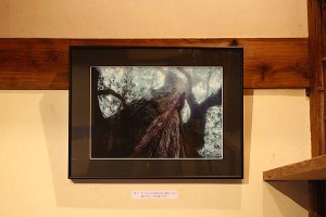 屋久島の水の物語