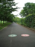 水上公園 水上公園