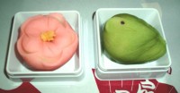 梅とうぐいすの和菓子