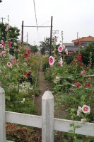 西武安比奈線跡 西武安比奈線跡