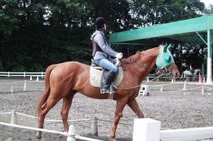 体験乗馬に挑戦