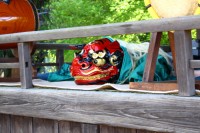 出番を待つ獅子 出番を待つ獅子