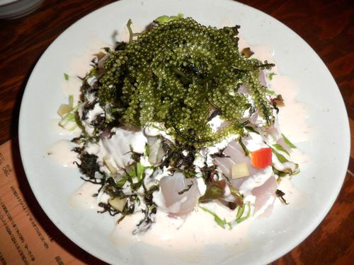 うみんちゅサラダ