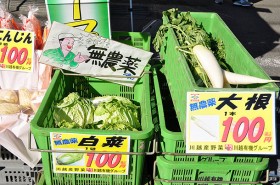 川越有機野菜（大根、白菜）
