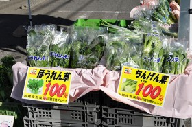 川越有機野菜（ちんげん菜、ほうれん草）