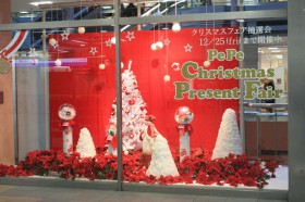 クリスマスイルミネーションPePe